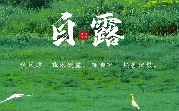 玉树白露润秋，致兴立群与您共筑坚固未来